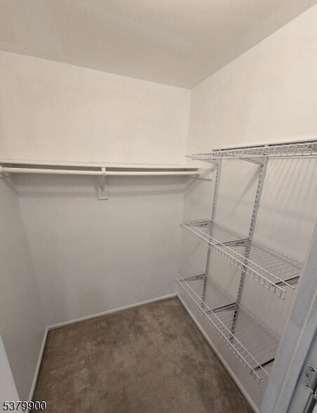 Building Photo - 4605 Birchwood Ct