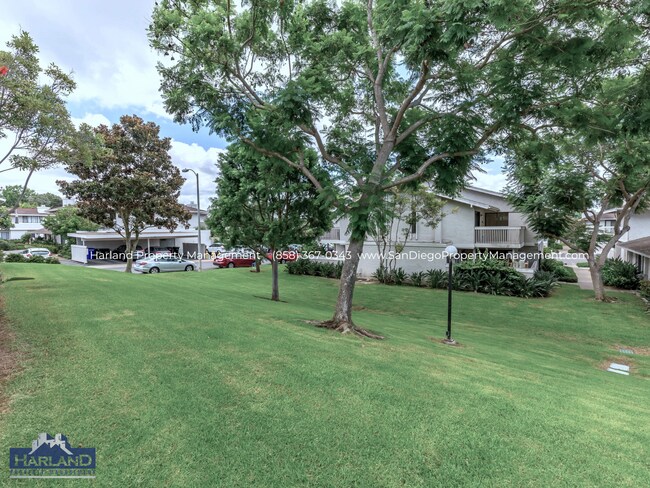 Building Photo - 3843 Camino Lindo