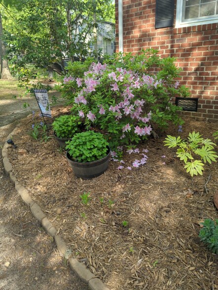 Building Photo - 114 Wythe Cir