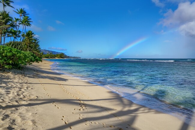 Building Photo - Hawaii Life Presents Mokuleia Beach House ...