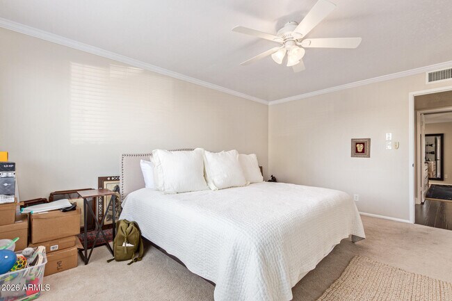 Building Photo - 7337 E Citrus Way