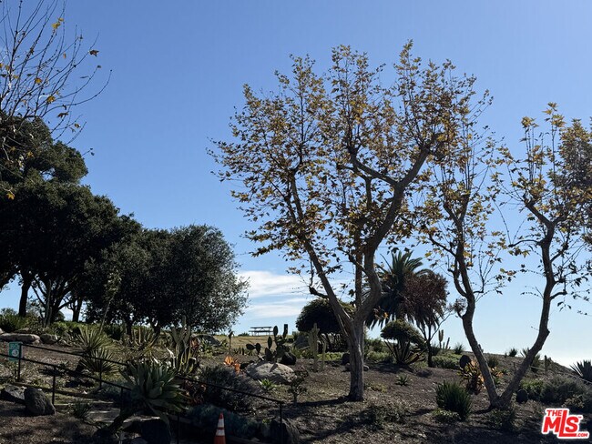 Building Photo - 17350 Sunset Blvd