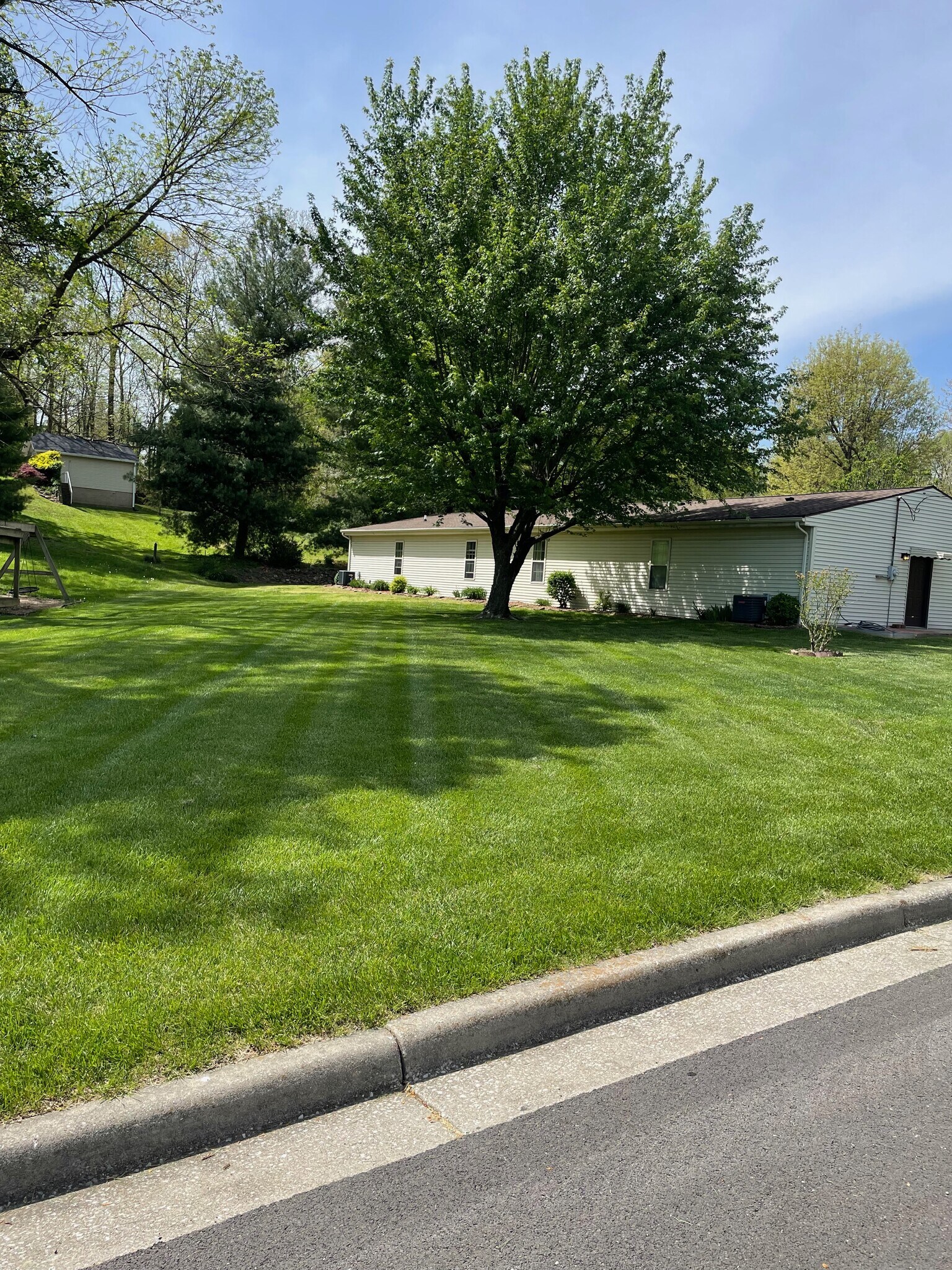 Back yard - 1053 W 10th St