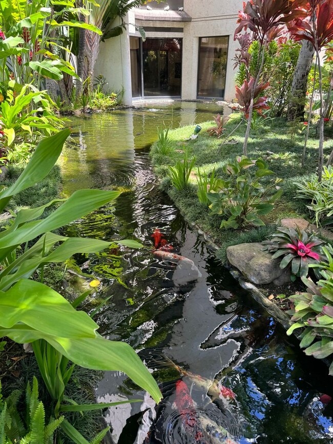 Building Photo - 1/1/1 at Liliuokalani Gardens