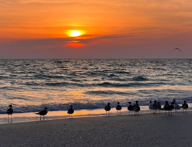 Building Photo - 2330 N Ocean Blvd