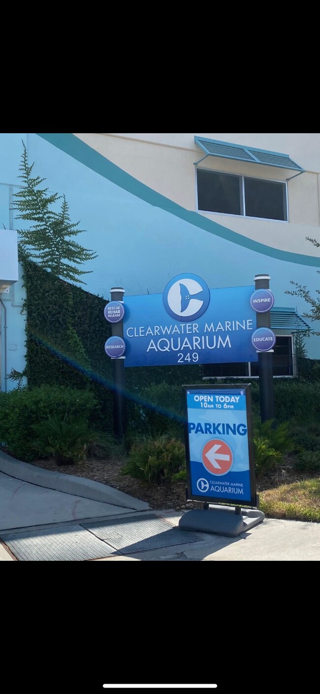 Building Photo - 255 Dolphin Point