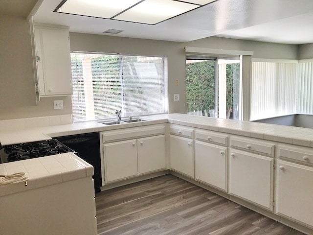 Building Photo - Beautiful family home in Newbury Park!