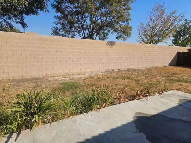 Building Photo - Beautiful Kerman Home!