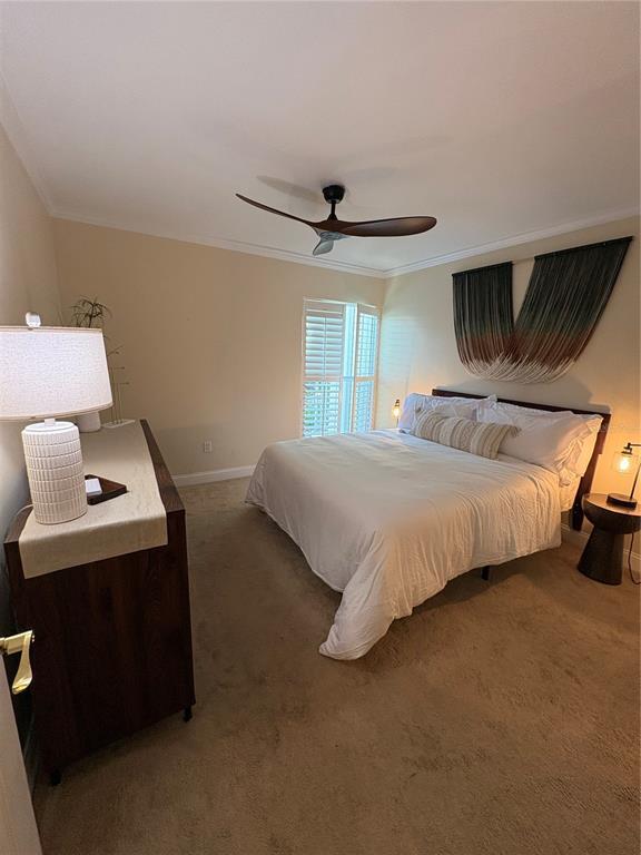 Building Photo - 3325 Bayshore Blvd