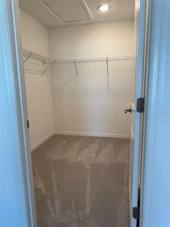 Building Photo - 3811 Sepia St