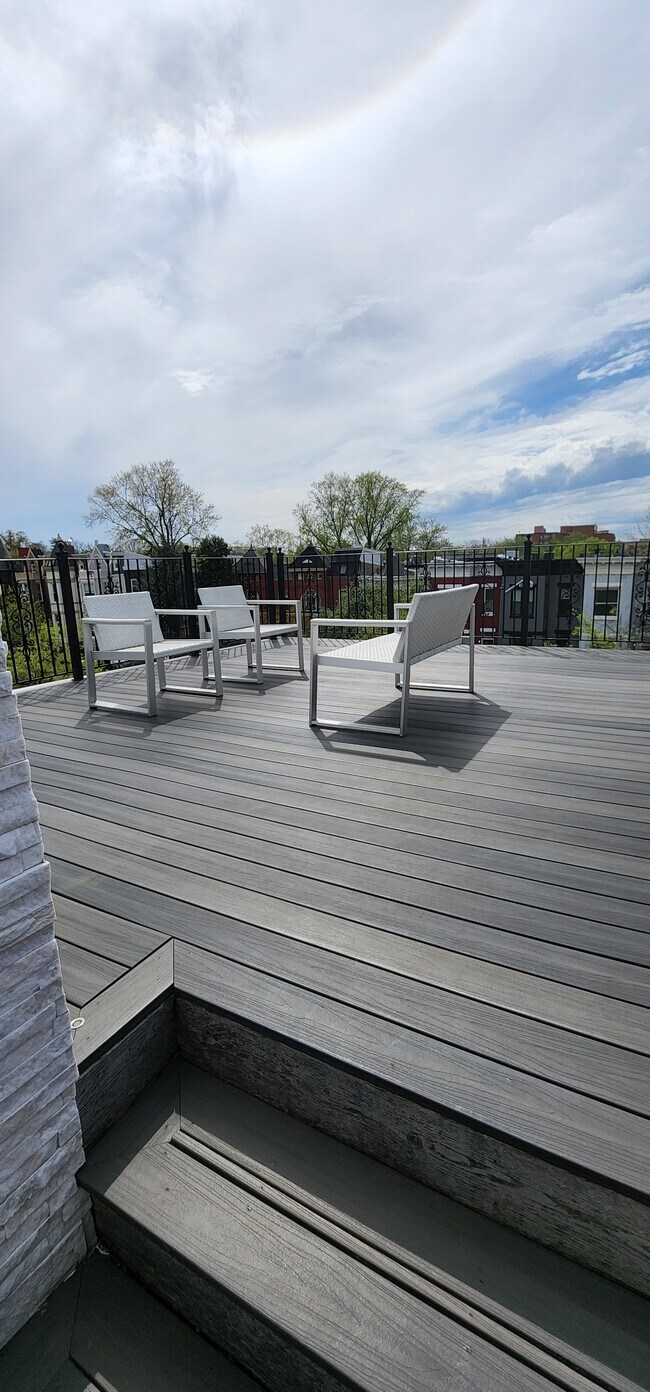 Roof Deck - 721 12th St NE