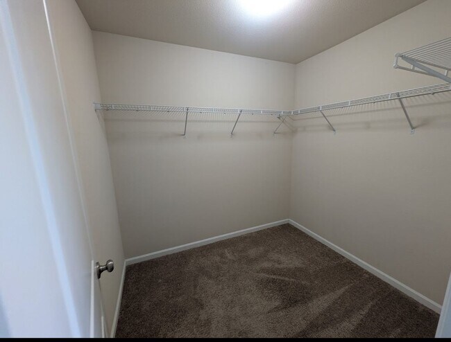 Building Photo - North Albany 4 bedroom single family house