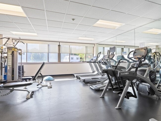 Building Photo - 169 Monsignor O'Brien Hwy