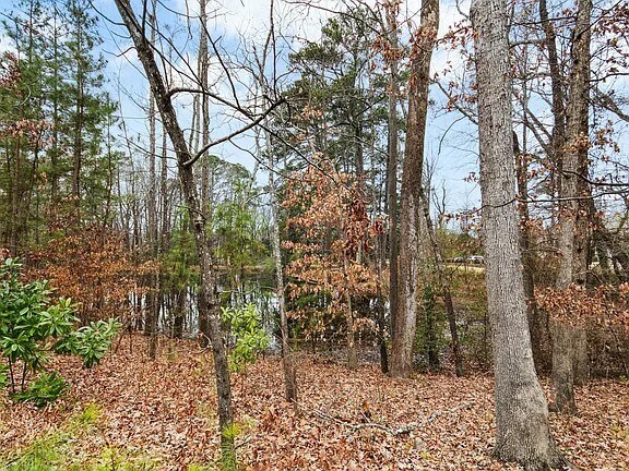 Building Photo - 3645 Water Mist Ln