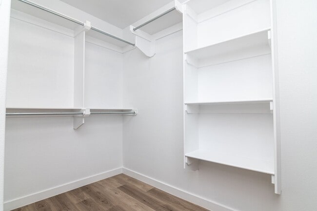 Building Photo - 2021 Escalara St