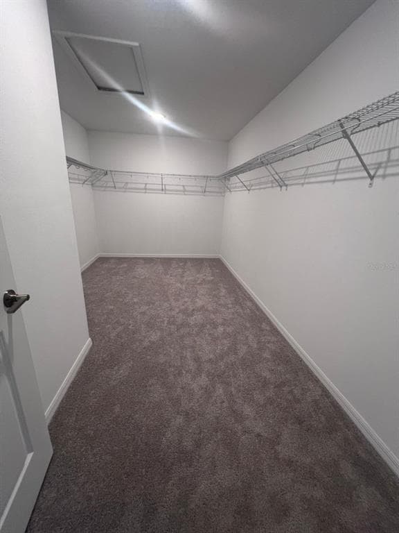 Building Photo - 424 Wayland Dr