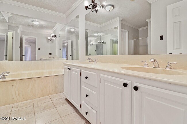 Building Photo - 145 Ambiance Cir