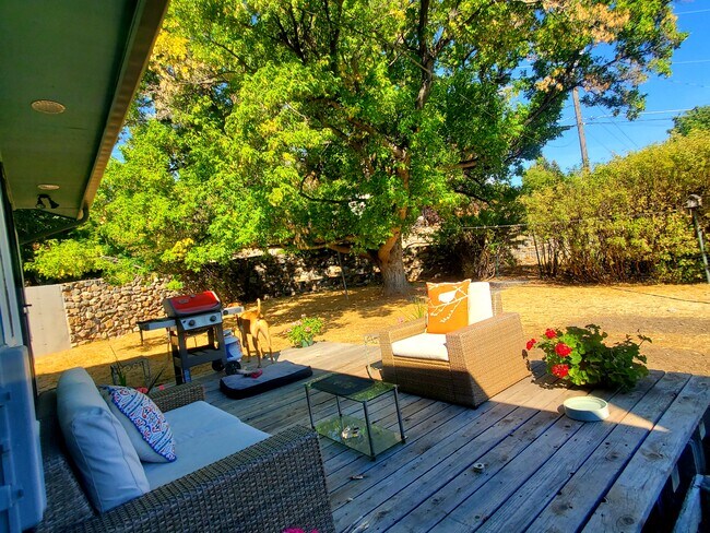 Back yard - 514 N Yellowstone St