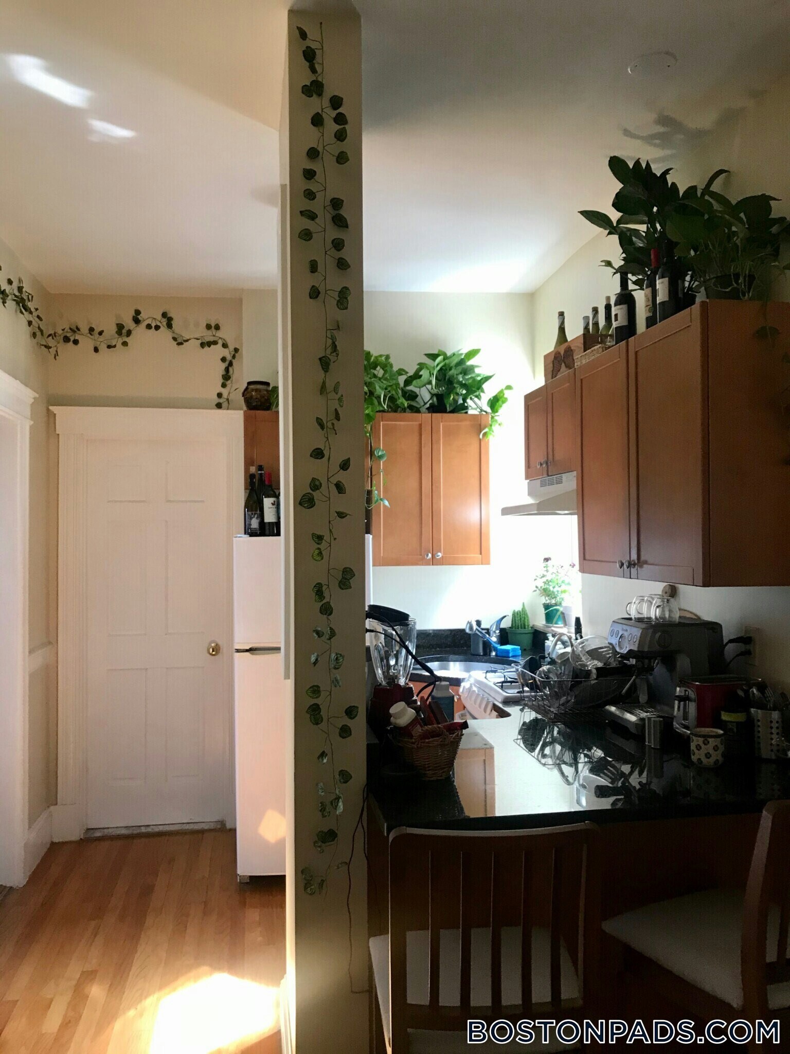 Building Photo - 1189 Commonwealth Ave