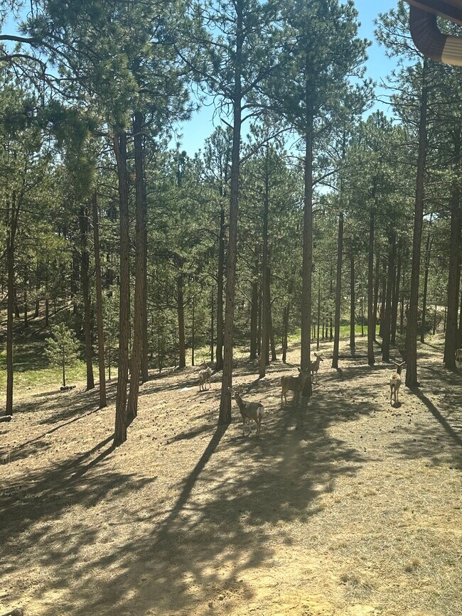 Building Photo - 6980 Wildridge Rd