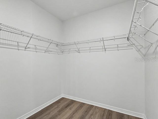 Building Photo - 1211 Lone Palm Wy