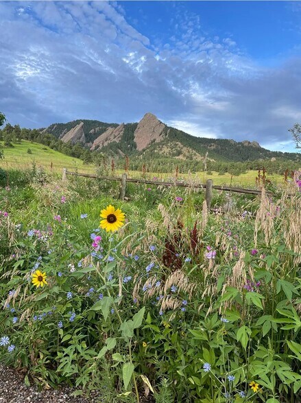 Take a Hike & Find Your Favorite VIEWS - 45 Benthaven Pl