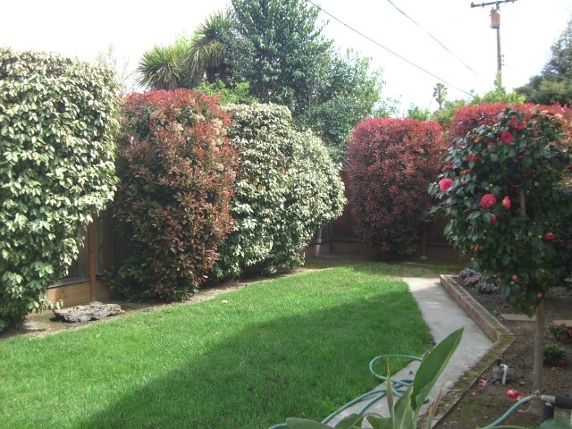 Building Photo - 3063 Westfield Avenue