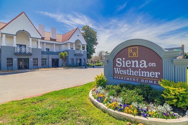 Primary Photo - 6259 Westheimer Rd