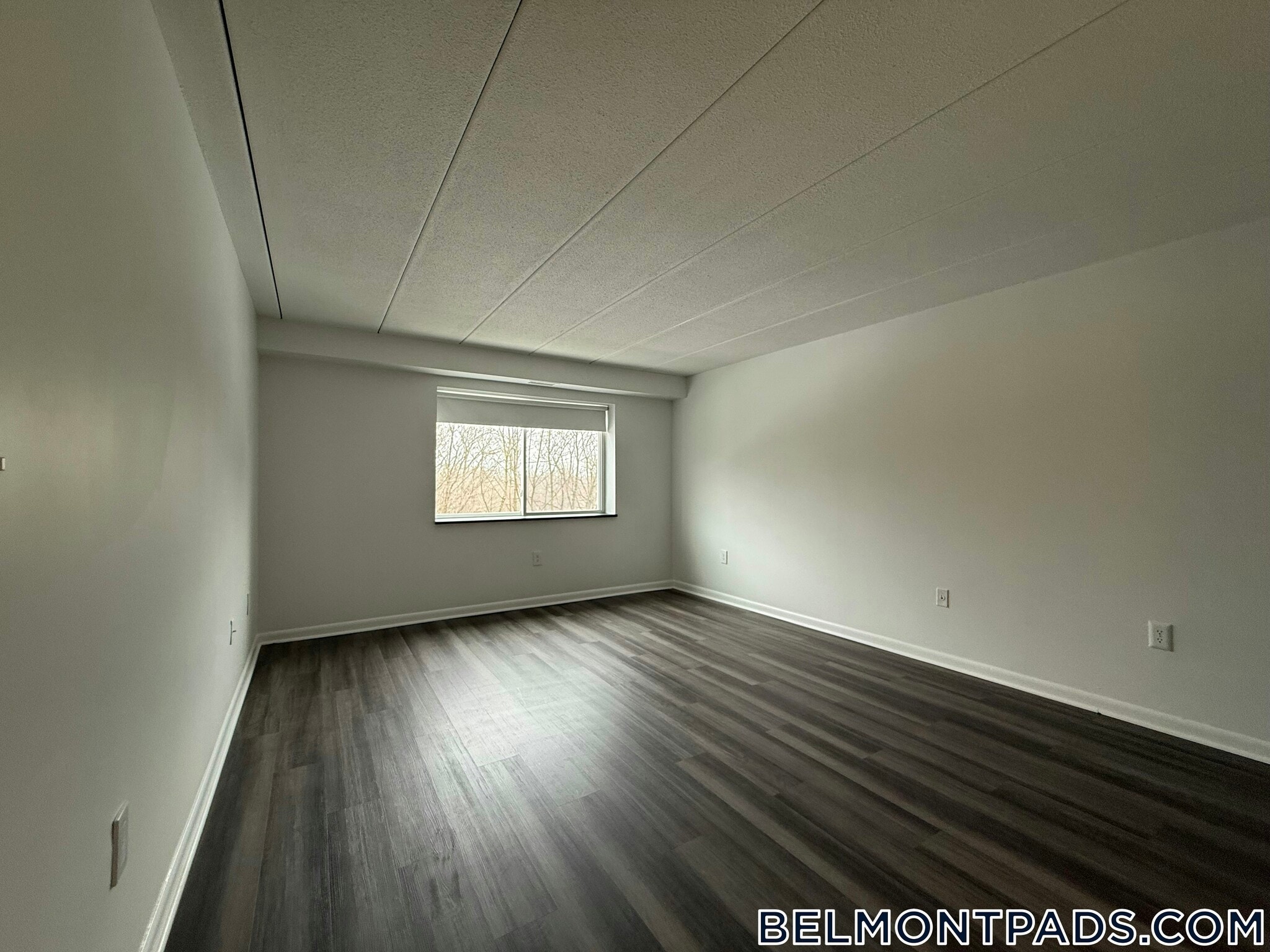 Building Photo - 55 Hill Rd