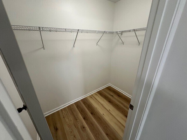Building Photo - 8428 Charbay Cir