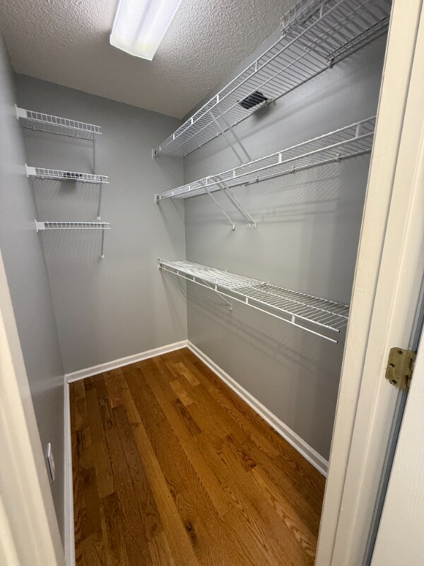 Building Photo - 53 Spring Wind Cir