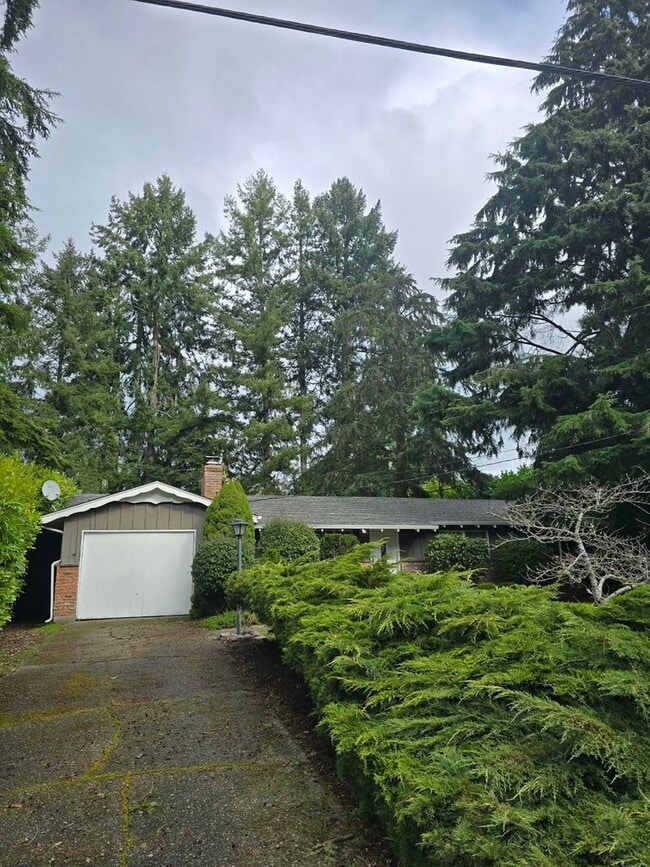 Building Photo - Beautiful 3 bedroom on large lot.