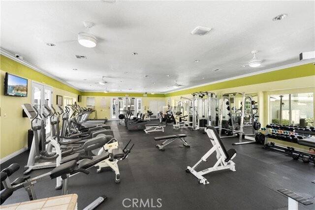 Building Photo - 23412 Pacific Park Dr