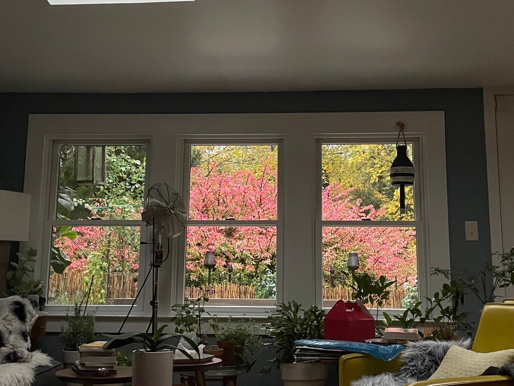 Building Photo - 16 Crooked Mile Rd