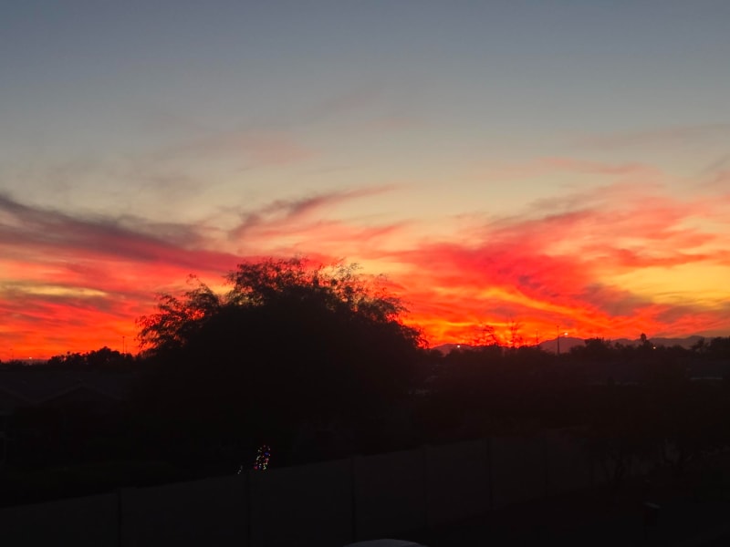 Building Photo - 8865 E Baseline Rd