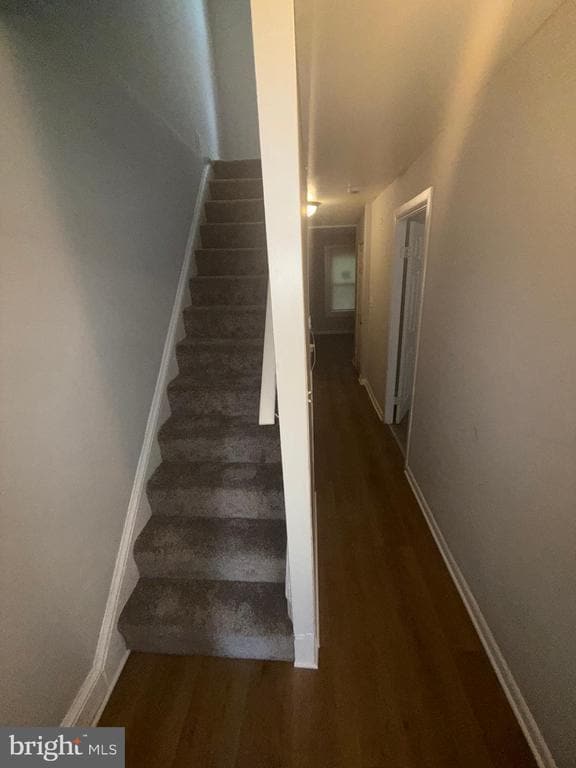 Building Photo - 663 Kohn St