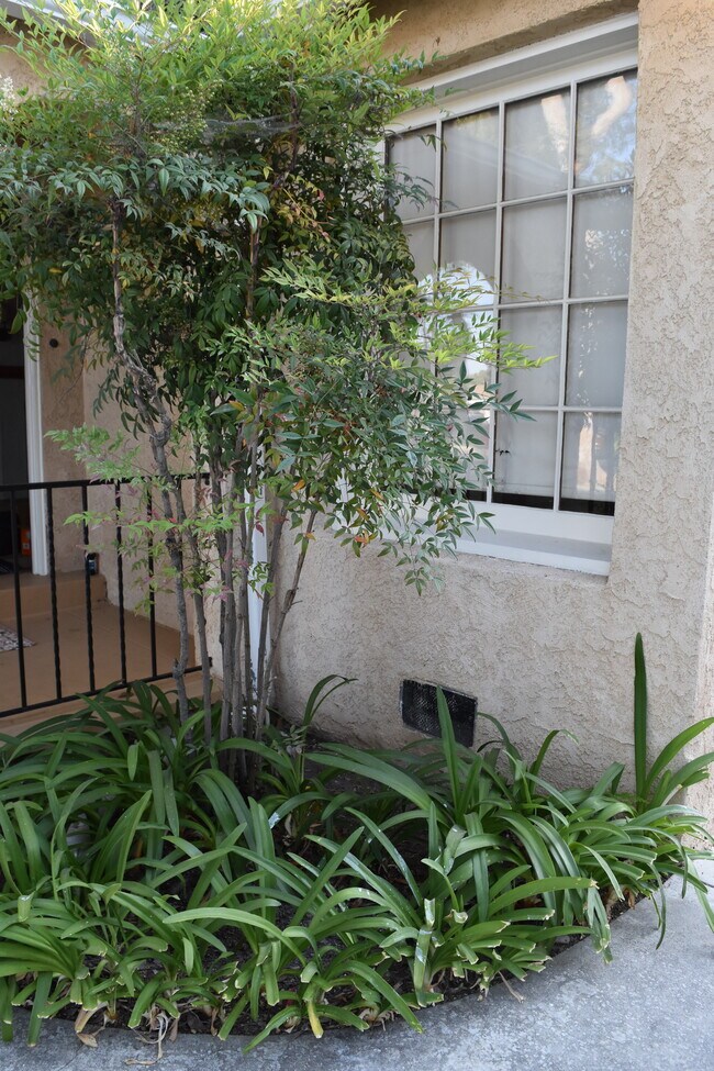 Front Flower Bed, dining room window - 423 S Indiana St