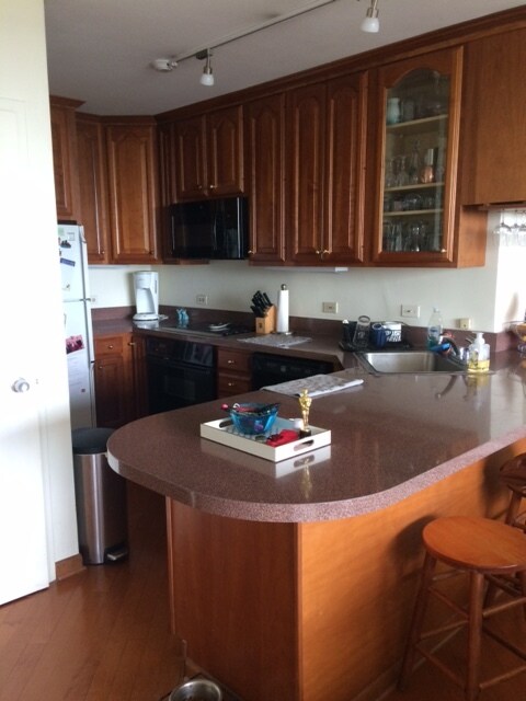 Building Photo - 1550 N Lake Shore Dr