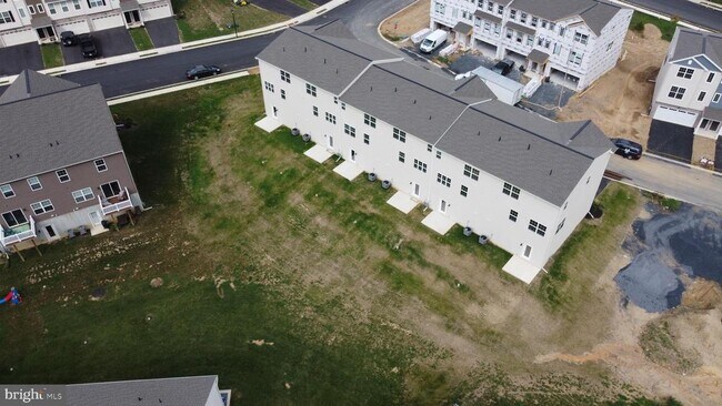 Building Photo - 1817 Shady Ln