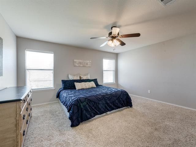 Building Photo - 4816 Blue Top Dr