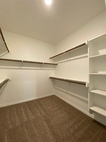 Building Photo - 913 Dickens Dr
