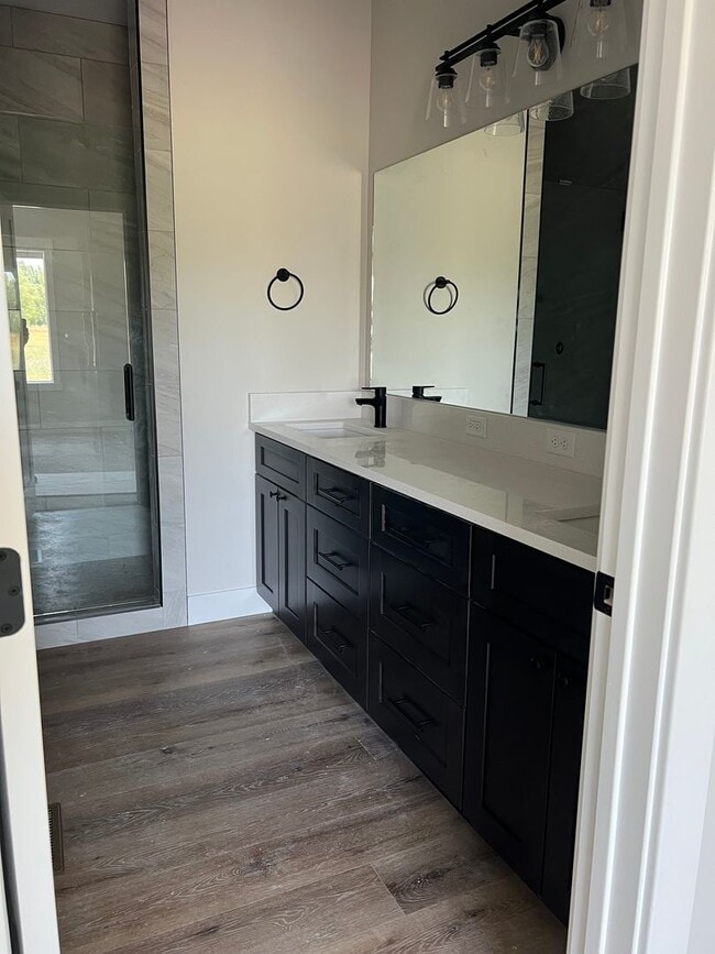Building Photo - BEAUTIFUL BRAND NEW 3 bed 2 bath home in R...