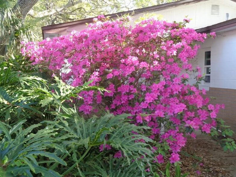 Building Photo - 799 E 10th Ave