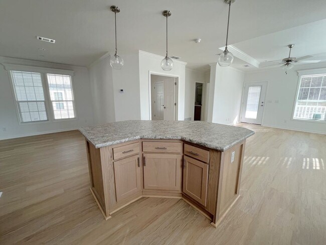 Building Photo - 1021 Vervain Dr