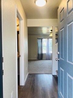 Building Photo - 13513 Palm Beach Dr