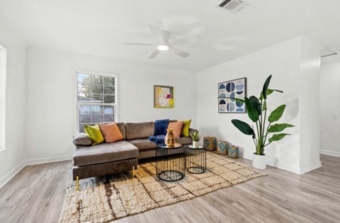 Building Photo - beautifully remodeled 4-bedroom, 2-bathroo...