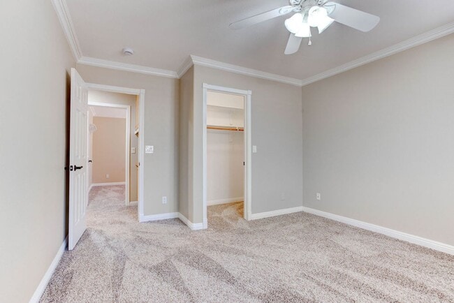 Building Photo - 809 Royal Birch Ln