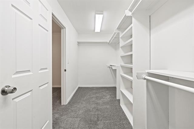 Building Photo - 2909 Conejos Dr