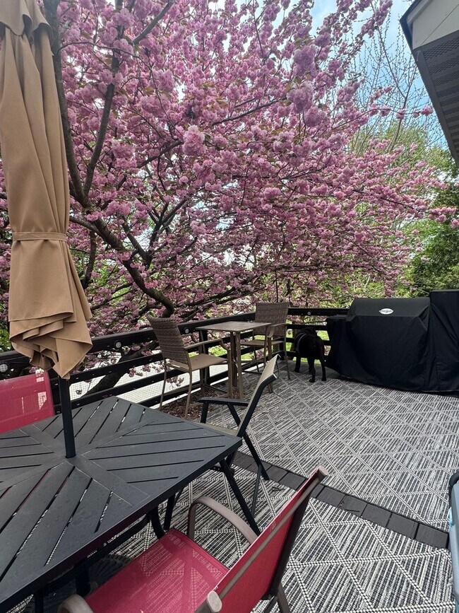 Building Photo - Stunning 3–4 Bedroom Townhome in Private Community | Garage + EV Charger | Deck with Tree Views