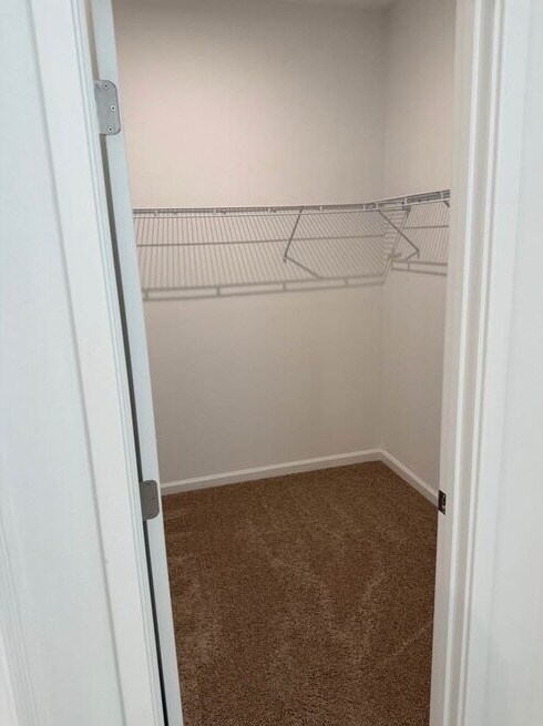 Building Photo - 536 Green Tracker Ave